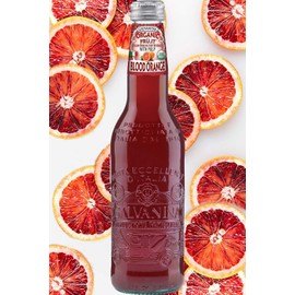 Galvanina - Blood Orange - Premium Organic Italian Sparkling Fruit Beverage - 12 fl oz (Pack of 12)
