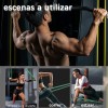 Set 5 Liga De Resistencia Fitness Bandas Elasticas Ejercicio Aidehome