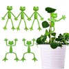 Cute Frog Plant Support Clips - 5Pcs Plant Stand Set