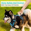 BARKBAY No Pull Dog Harness Large Step in Reflective Dog