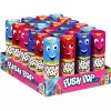 Push Pop Candy Assortment Variety Pack 24 Ct