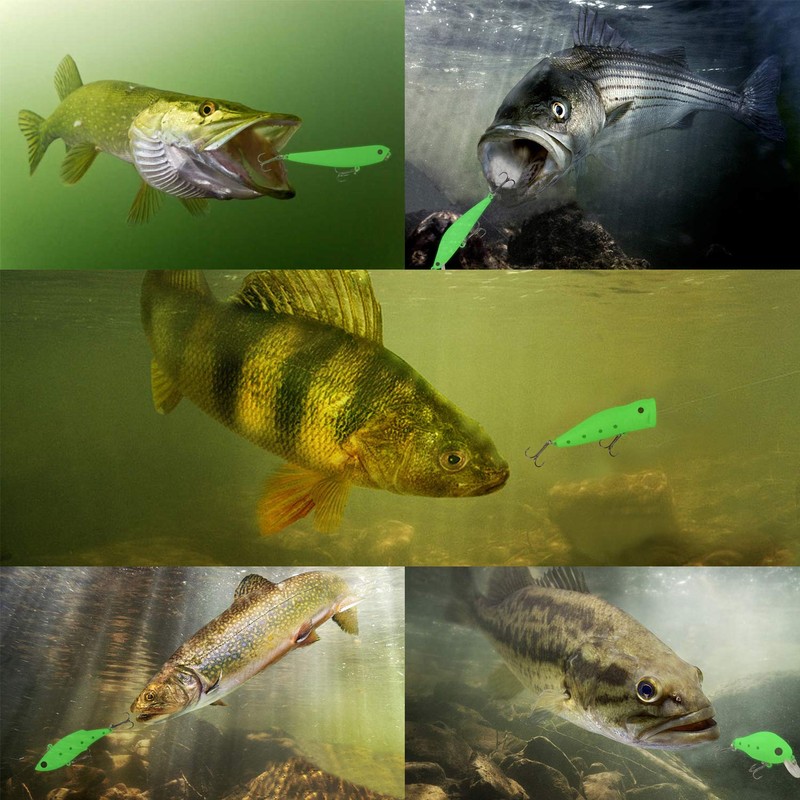 Luminous Fishing Lure Bait Set- 5Pcs Hard Lure Minnow Crankbait