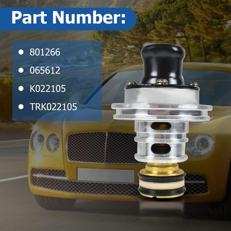 WFLNHB Purge High Boost Purge Valve Kits Set AD-IP 801266/065612