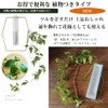 Upframe Wall Hanging Vase, Stylish, Test Tube Set, Single Vase,