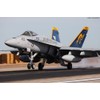 F/A-18C Hornet `VFA-192 Golden Dragons 2009/2011` (Plastic model)