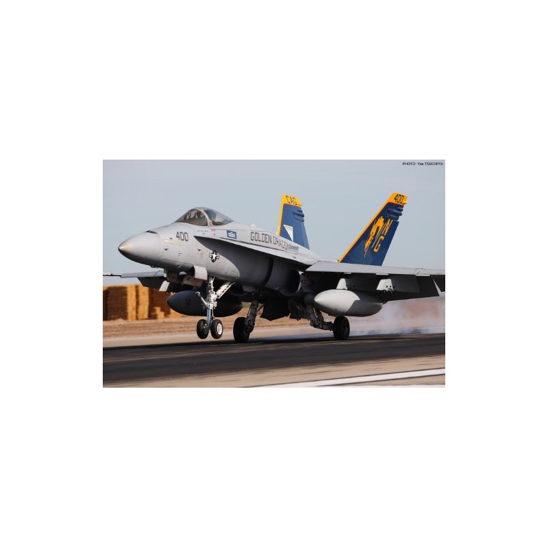 F/A-18C Hornet `VFA-192 Golden Dragons 2009/2011` (Plastic model)