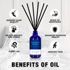 Xcleen Reed Diffuser Set for Home| 3.7 Oz(110ml) Hawaiian Holiday