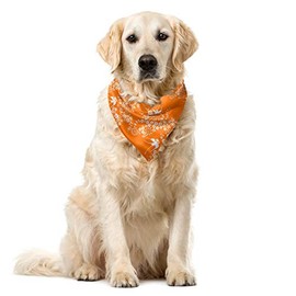 Ambesonne Orange Dog Bandana, Japanese Tree Birds Art, 22" X 22", Marigold White