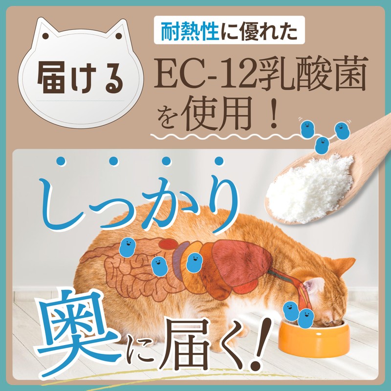 HUGME SHOP Kokona Cat Lactic Acid Bacteria Enzyme Supplement, Highly