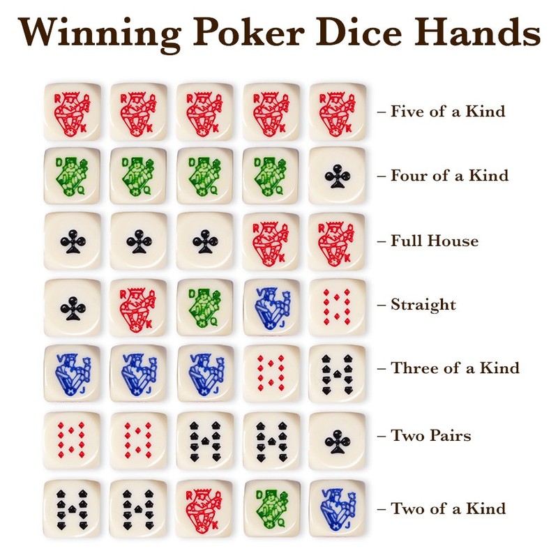 Brybelly Set of 5 Poker Dice with Professional Leather Dice