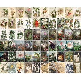 PIXILUV 60 pack of small Thank You Cards ~ Tropical Treasures: Orchids, Exotic Plants and Wildlife in Lush Vintage Botanical Illustrations