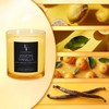 Lemon Vanilla Scented Candle, 2-Wick Luxury Soy Wax Candle, 9