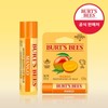 Burt's Bees Mango Lip Balm 4.25g x 2 / 버츠비 망고 립밤 4.25gX2개