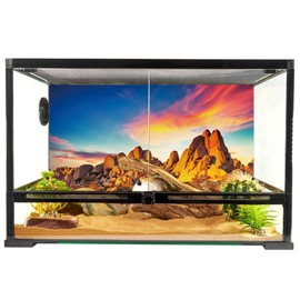 YongFoto Reptile Terrarium Background 30x12 inch Desert Rocky Bush Thorns Western Wilderness Reptile Habitat Background Bearded Dragon Fish Tank Aquarium Polyester Backdrop