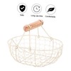 Alipis Metal Wire Storage Basket Rustic Decorative Egg Holder for