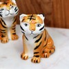 Salt and Pepper Shakers Tiger Orange Ceramic African Big Cat