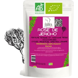 Elitea Rose de Jericho X3 for Intimate Wellbeing, Fertility Comfort, Urinal, Chajarat, Mariam of the Desert, Set XXL