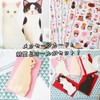jetoy 2504me398 Greeting Cute Cat Message Card Set of 5