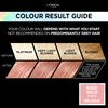 L'Oréal Paris Permanent Hair Colour, Long-Lasting Shine and Intense Colour,
