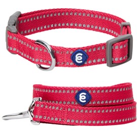 Blueberry Pet Essentials Pastel Color Reflective Matching Dog Collar and Leash Set in Very Berry, Adjustable Collar with 4 ft Leash for Large Dogs