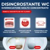 STARWAX THE FABULOUS Polvere Disincrostante WC, 850g