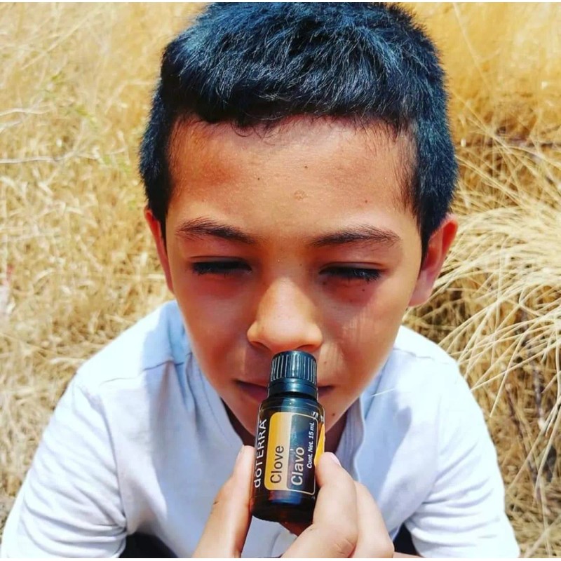 Doterra Aceite Esencial De Clavo Doterra 15 Ml