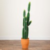 Nearly Natural 5ft. Artificial Cactus in Terracotta Planter