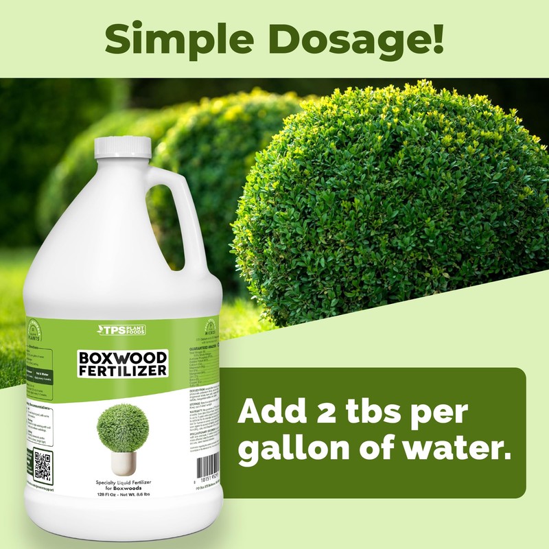 Boxwood Fertilizer – Liquid Plant Food for Dense Growth, Rich