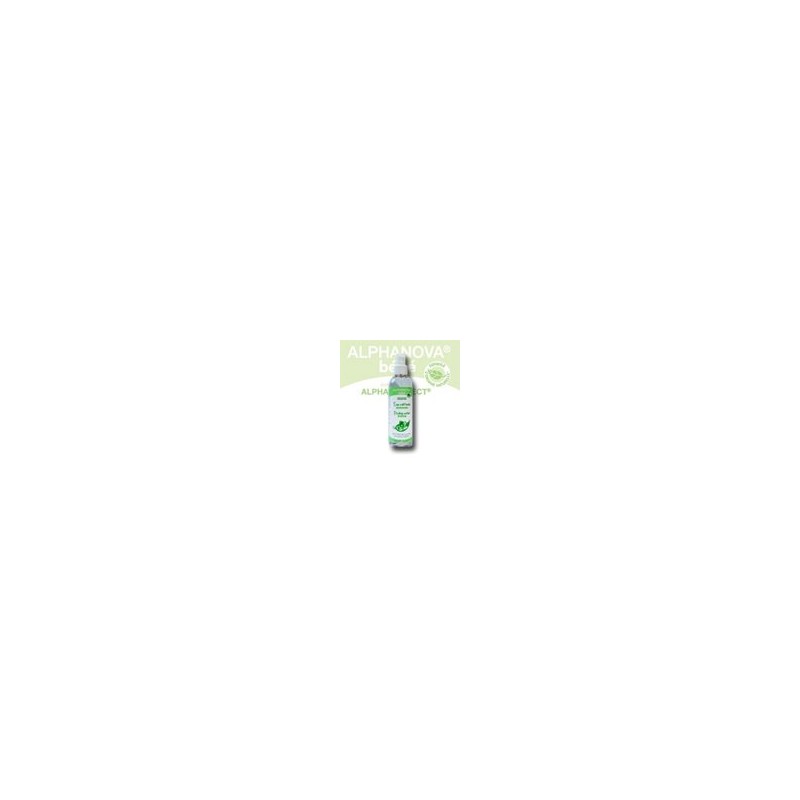 Alphanova Baby Styling Water 200ml