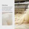 Molithe 100% Wool Blanket, 62" x 86", Warm, Thick, Washable,