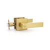 Tinewa 1 Pack Brushed Gold Door Handle Interior Privacy Door