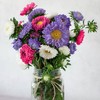 The Old Farmer's Almanac Aster Seeds (Powderpuff Mix) - Approx