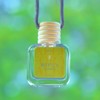 CANVAS Beauty Car Diffuser (Pick Your Scent):_Drunken Peach