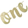 We Are One with Crown Gold Glitter Banner for Twins'