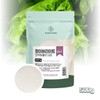 Charm Goods Prebiotics Inulin Chicory Extract Fructooligosaccharide Dietary Fiber Fiber Powder / 참굿즈 프리바이오틱스 이눌린 치커리 추출물 프락토올리고당 식이 섬유 화이버 분말