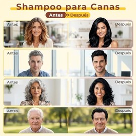 Hair Dye Shampoo, Black Hair Dye Shampoo con Tinte para Cubrir canas, 3 in 1 Semi-Permanent Hair Color para Mujer Hombre (Negro)