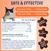 Under the Weather Pet Daily Cat L-Lysine | Boost Immune