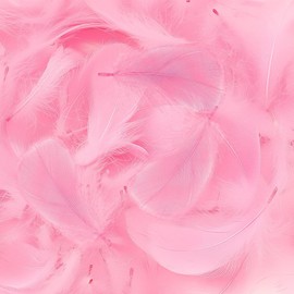 Mbsomnus Feathers for Crafting, 600 Pcs Pink Feathers Natural Craft Feathers 5-12 cm Feathers for DIY Crafts Dream Catcher Earrings Headdress Feather Flowers Wedding Party Holiday Decoration