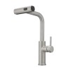 Modern Single Handle Pull Out Stainless Steel Kitchen Sink Faucet