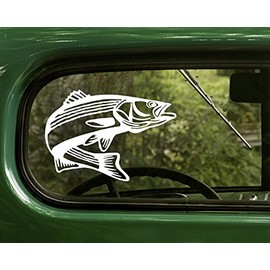 The Decal Mafia 2 Striped Bass Rockfish Decals Sticker White for Window Car Truck Laptop Bumper Rv