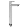 Single Cold Water Kitchen Faucet Stainless Steel Single Hole Bathroom