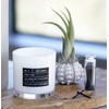 Lulu Candles | Jasmine & Lily | Highly Scented Candles