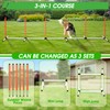 Dog Agility Course Backyard Set, Dog Agility Equipment, Pet obstacle