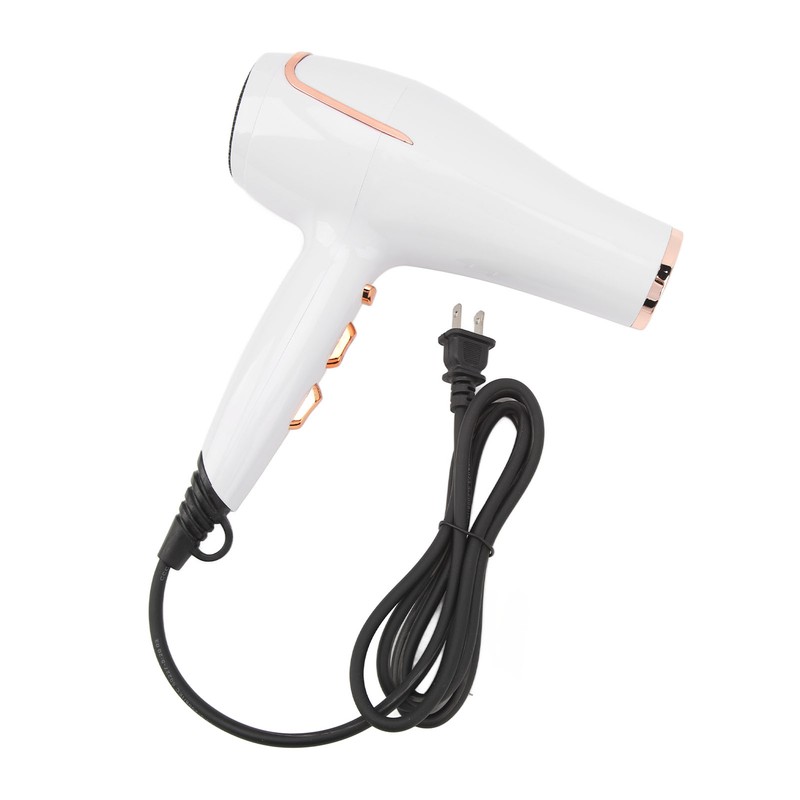 Electric Hair Dryer Adjust Temperature Wind Speed Blow Dryer Hair