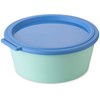 Koziol NORA BOX 1.3 L Food Storage Container with Lid,