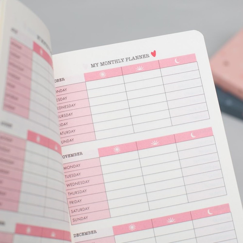 Matilda Moo 2024-2025 Academic Diary - A6 Size - Day