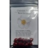 Cherokee Rose - 10 seed hips - Rosa laevigata