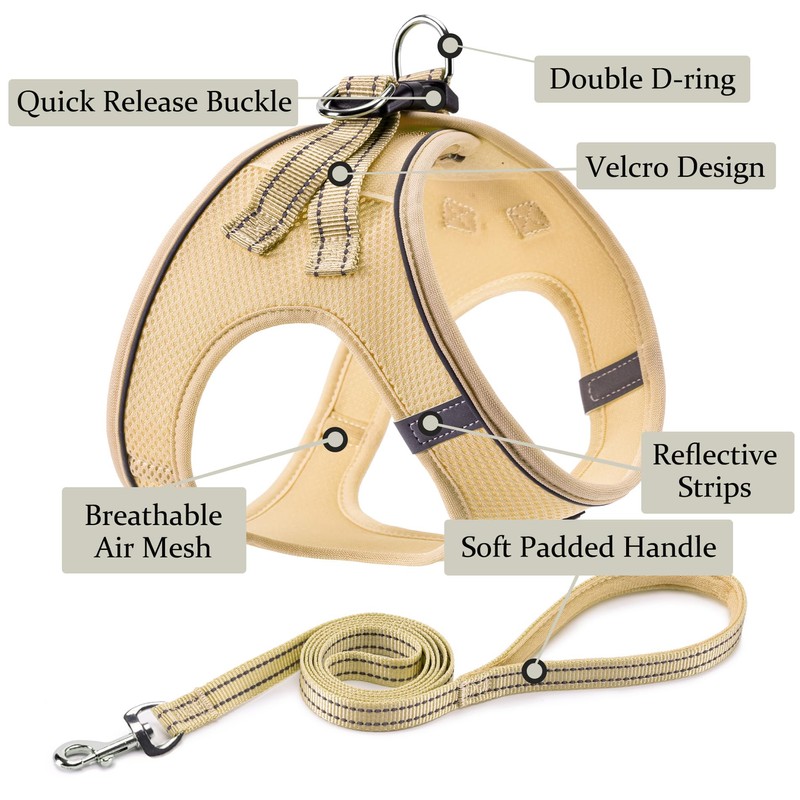 Dog Harness with Leash Set, Step-in Adjustable Puppy Pet Vest,