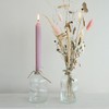 COMFORDER Taper Candles Set, 4 x Table Candles Plain +