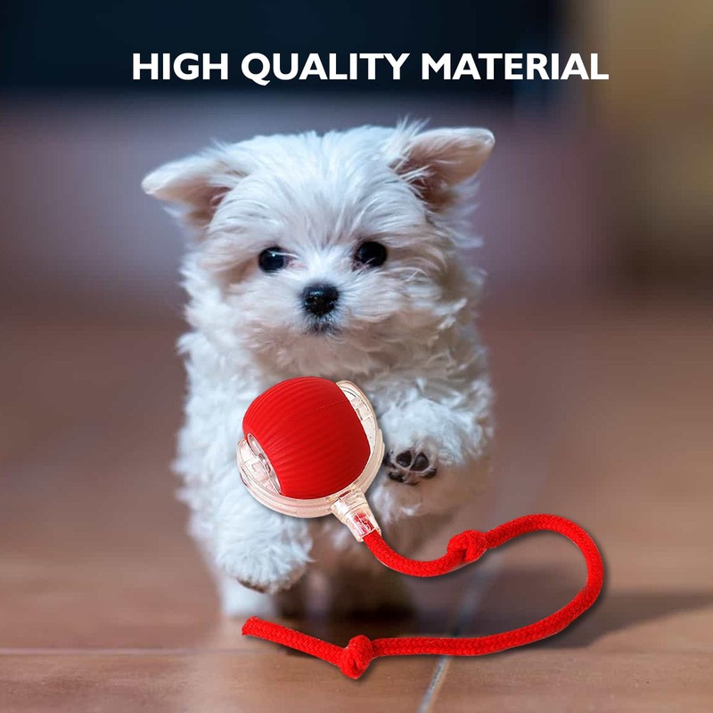 Twinsun Chewie Viral Rolling Ball - Interactive 360° Smart Automatic